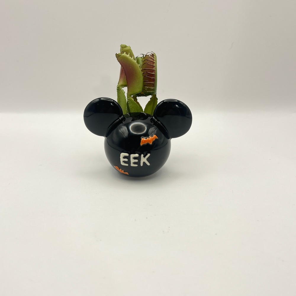 Disney Mickey Mouse Halloween Ceramic Planter Faux Venus Flytrap EEK Bats Black
